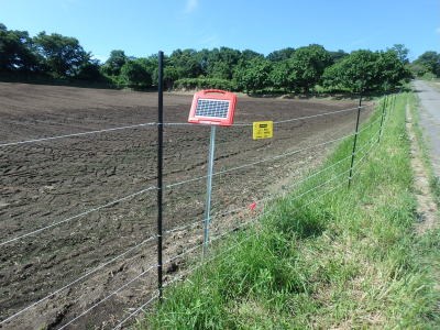 牧草地への電気柵（ソーラー式）設置状況