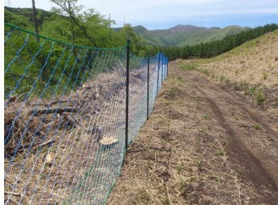 植林地でのシカ侵入防止ネット設置状況